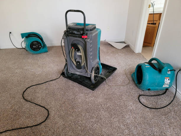 Best Residential water damage restoration  in Keego Harbor, MI