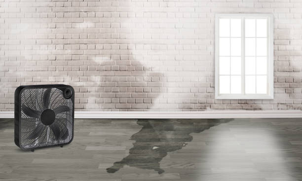 Best 24-hour water damage restoration  in Keego Harbor, MI