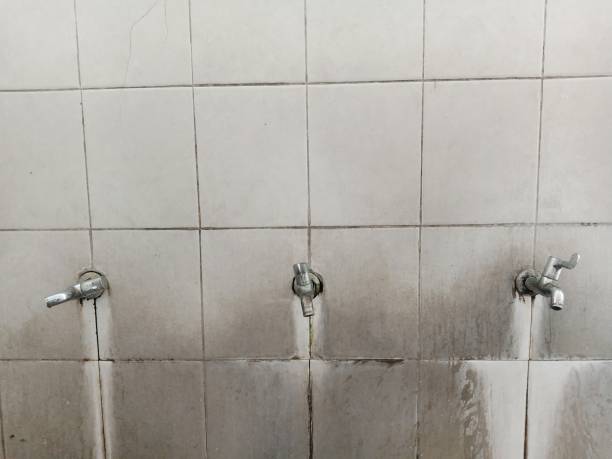 Best 24/7 water damage repair  in Keego Harbor, MI