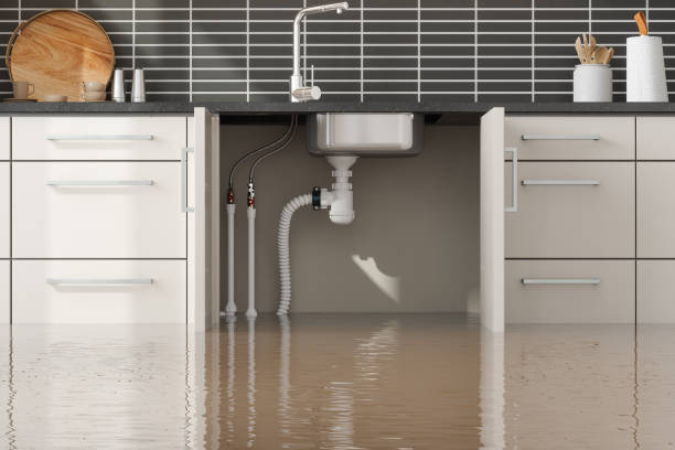 Best Water damage contractors near me  in Keego Harbor, MI