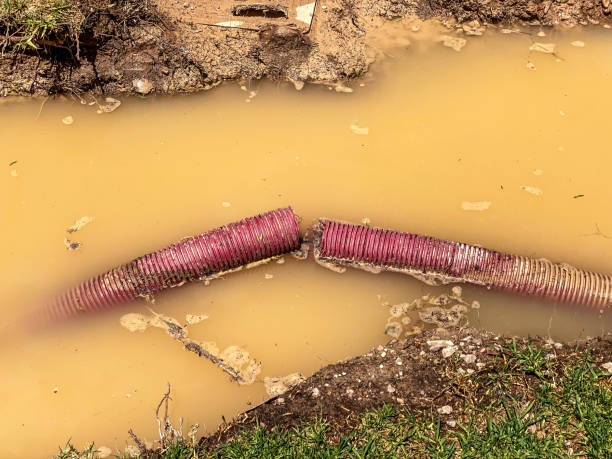 Best Water damage restoration insurance claims  in Keego Harbor, MI