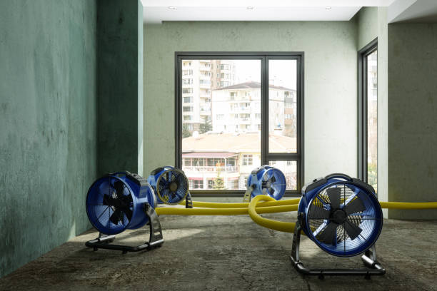 Best Water damage restoration near me  in Keego Harbor, MI